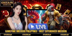 Gamefowl Breeders Philippines – Meet Experienced Breeders