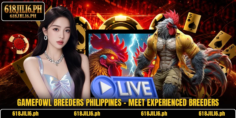 Gamefowl Breeders Philippines – Meet Experienced Breeders